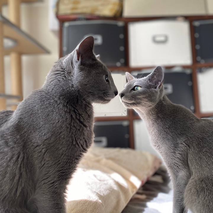 9f301150 ad99 4633 88f1 336e1d360e6f 1675151604157