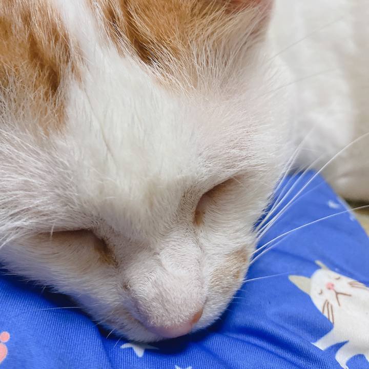 9f301c41 5e54 43eb 9e30 87bcb943c16c 1628332101403