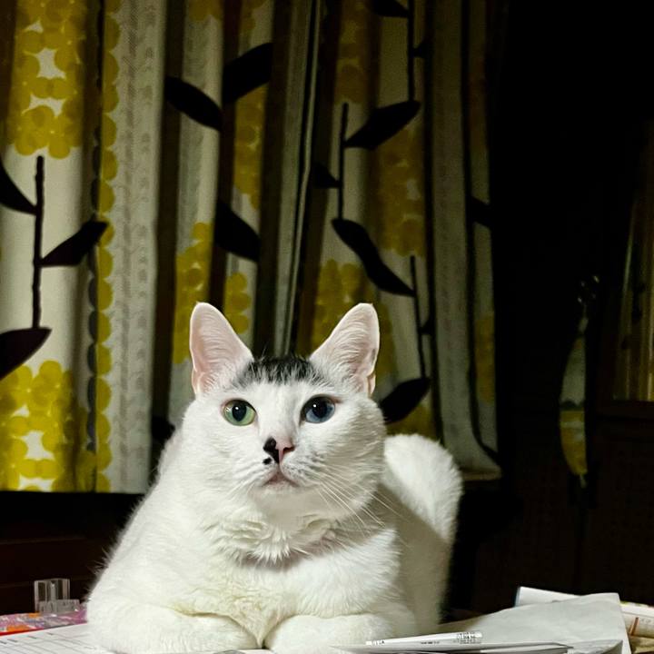 9f304d90 bc20 4e01 ba2b a1d773a82959 1776431139349