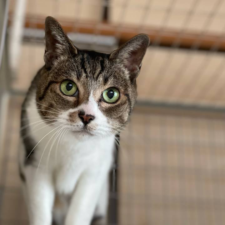 9f307c03 437d 4fa8 bf75 2d1b5608a3bf 1640916883168