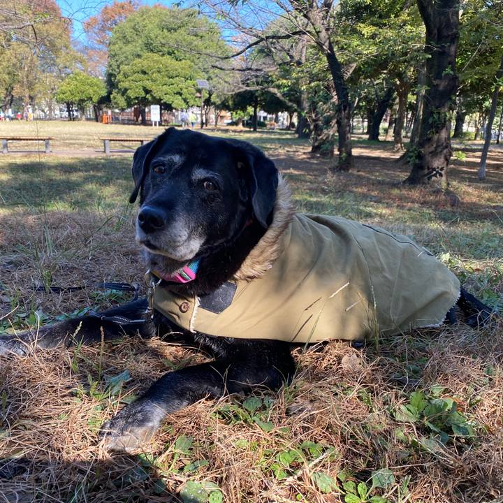 9f308199 99f8 4375 bf87 85f916add325 1700100774129