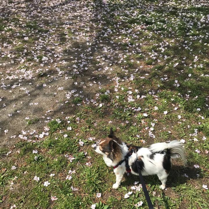 9f30936d ac93 41ac 9259 56b420f97da1 1648605585712