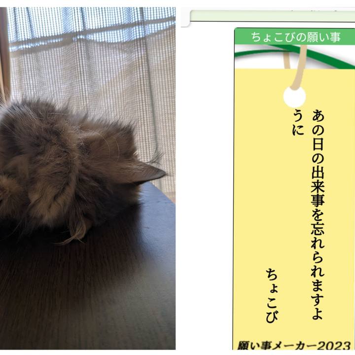 9f30a027 6fd5 4551 aece 18f9930bac70 1688820502890