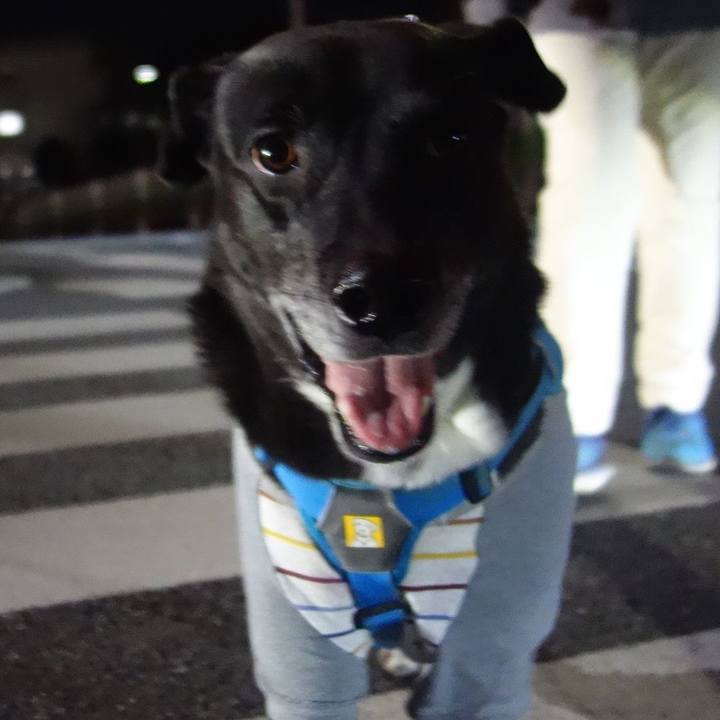 9f30cbb3 0259 48b4 bb24 b24058dd5948 1701599484738