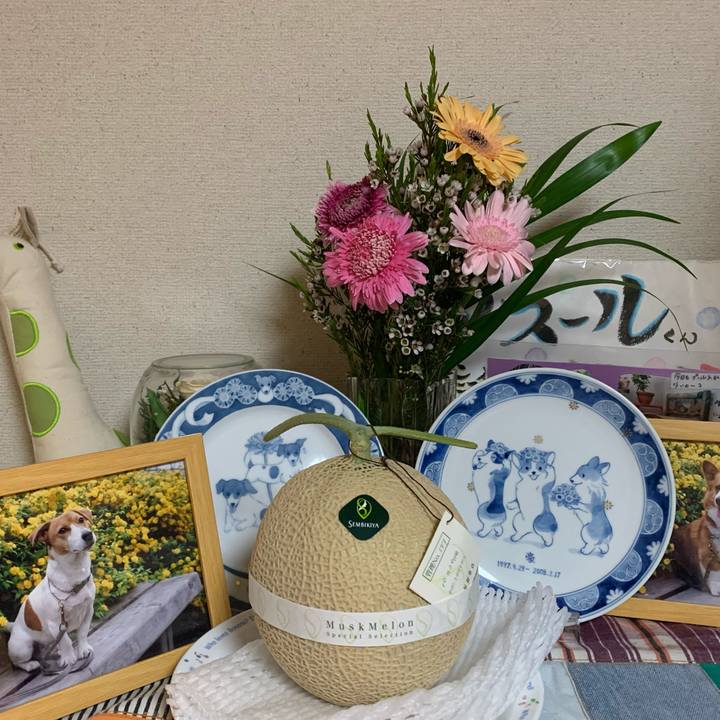 9f30d473 6e4b 4f09 91c9 34eddaba1879 1571321231118