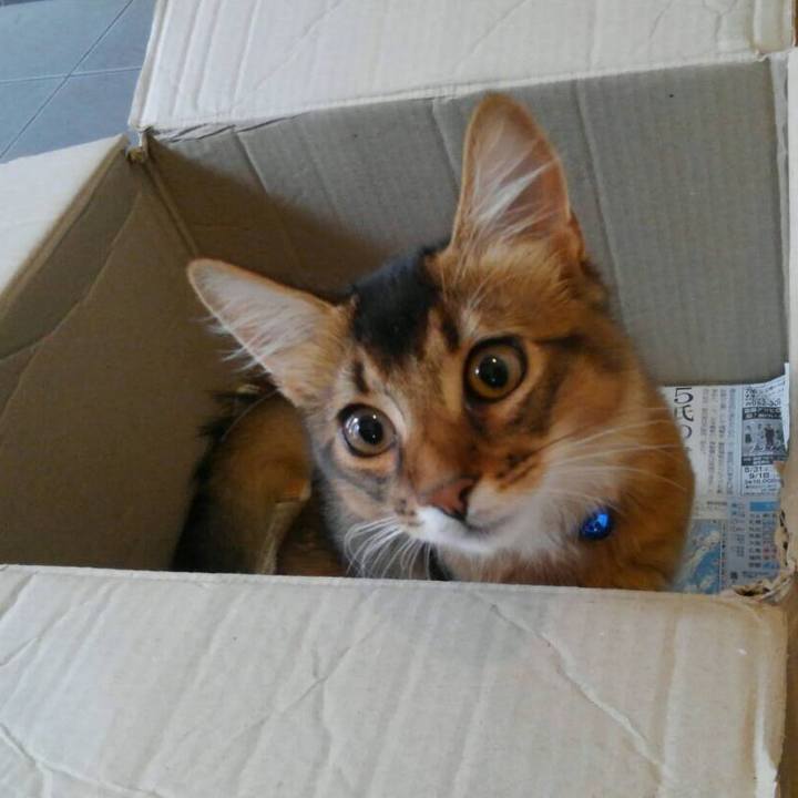 9f30e23b ee20 44ce 95ae 397e29bb4fed 1571370146975