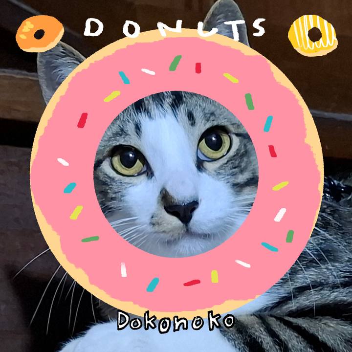 9f30eda0 130a 4eac 835b 1d42c7ab3c5b 1744354938765