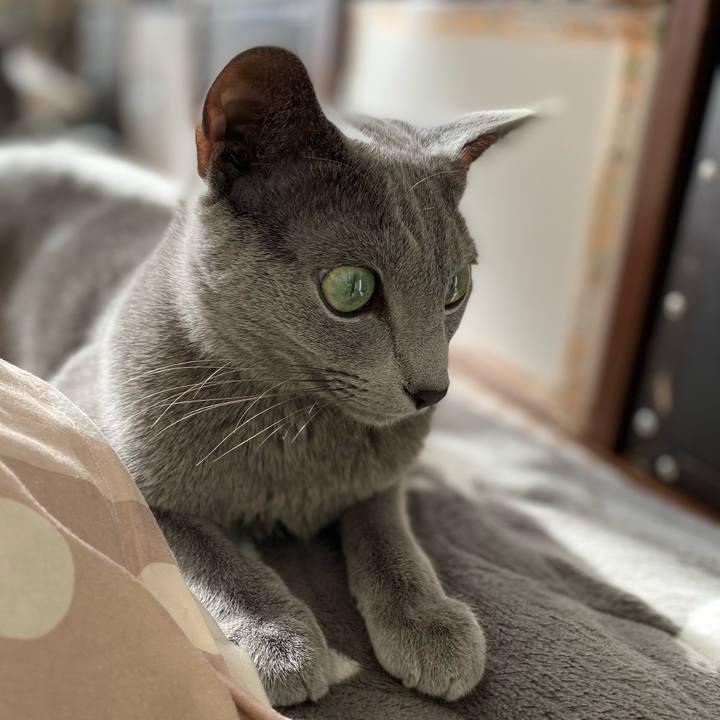 9f311ffa 8a17 45f9 8c4a a5254963d330 1638580289168