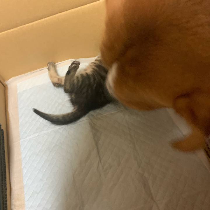 9f316a54 da61 416c 9f54 b13208357161 1563113464227