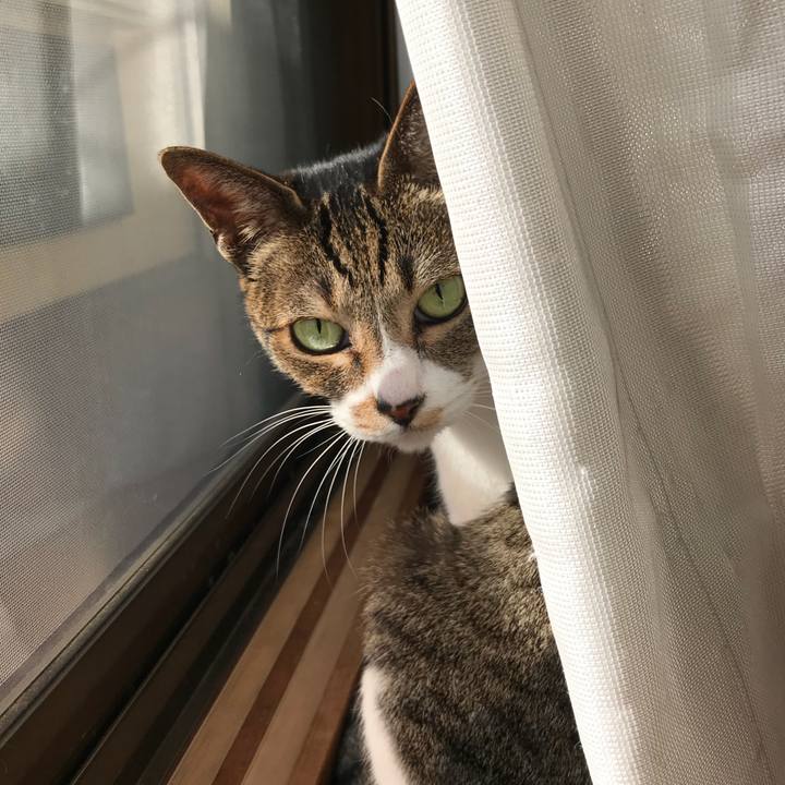 9f317bdf 6cf4 4f11 985f 7cec71c76e59 1518742074878