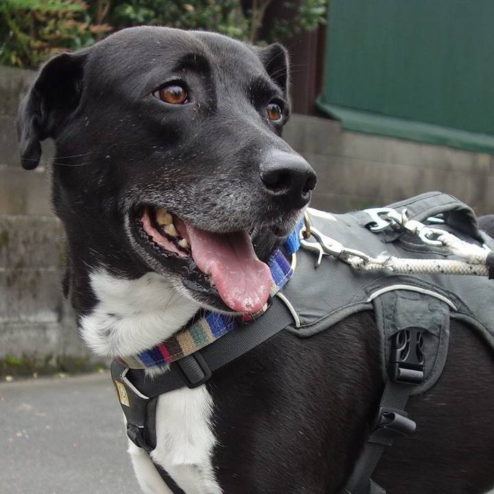 9f3190e4 49a8 4a88 9ed5 f4e2170090d7 1654734366941