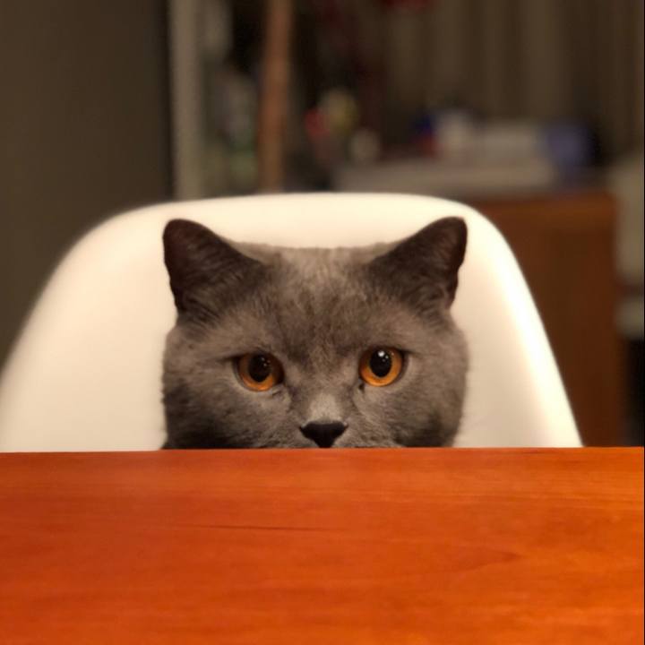 9f319f05 cbad 445d b3ea 92f6720001a2 1515823167630