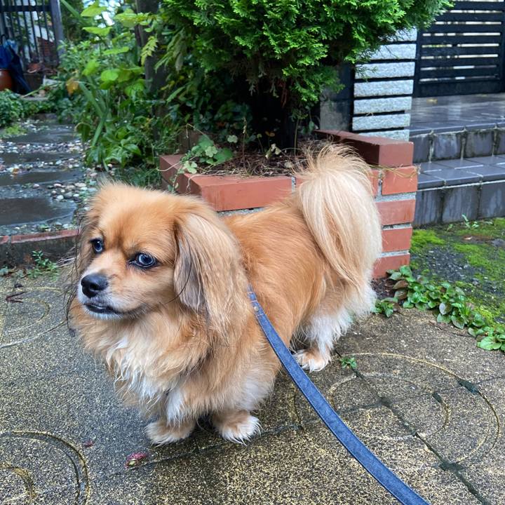 9f31bae6 22d9 4405 9ba5 3448480d3a1c 1599689425220