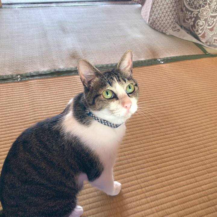 9f322928 d61d 4b93 9178 ad058e8d3c37 1565961281560