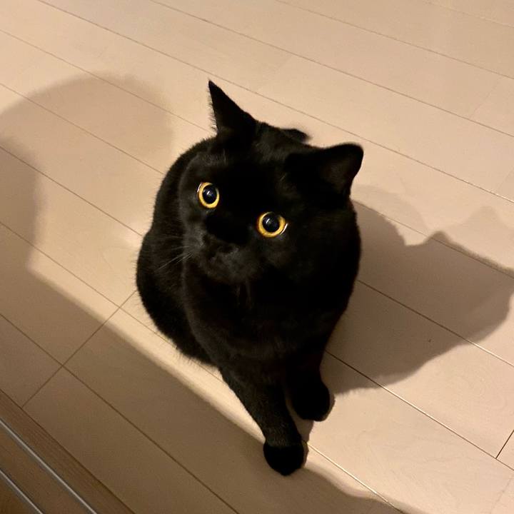 9f3246cb 288b 48a4 9e0a 05fcb44982f1 1599998245691