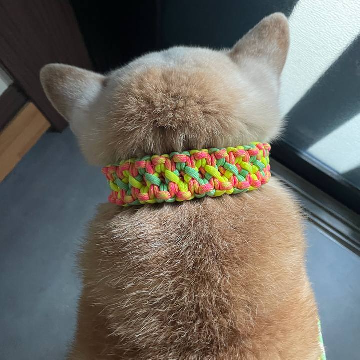 9f324a4c d0b5 476b 98da ab1571af7deb 1645400564137