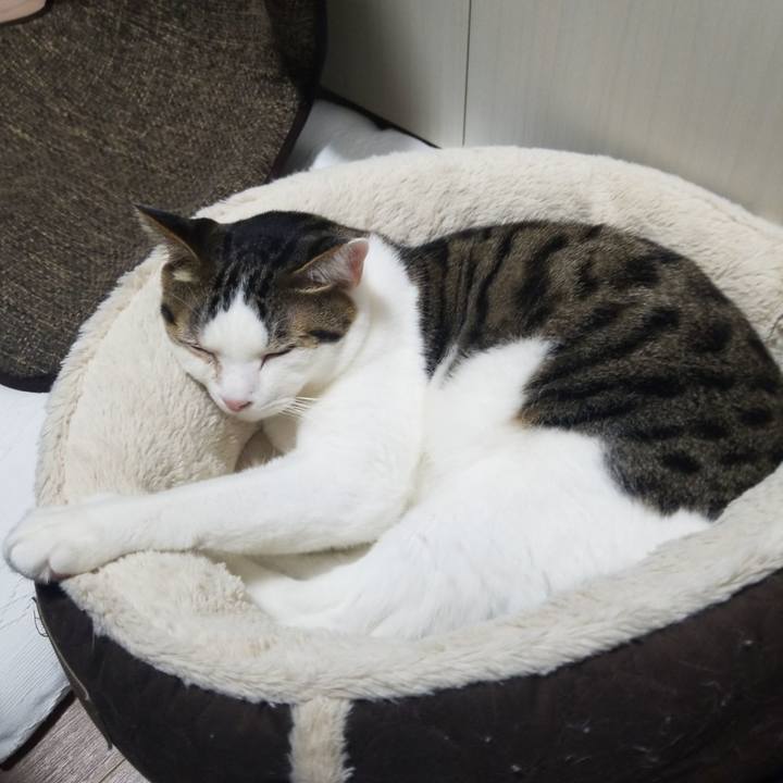 9f32599b c302 47b7 910b c680c5b5e219 1580247918610