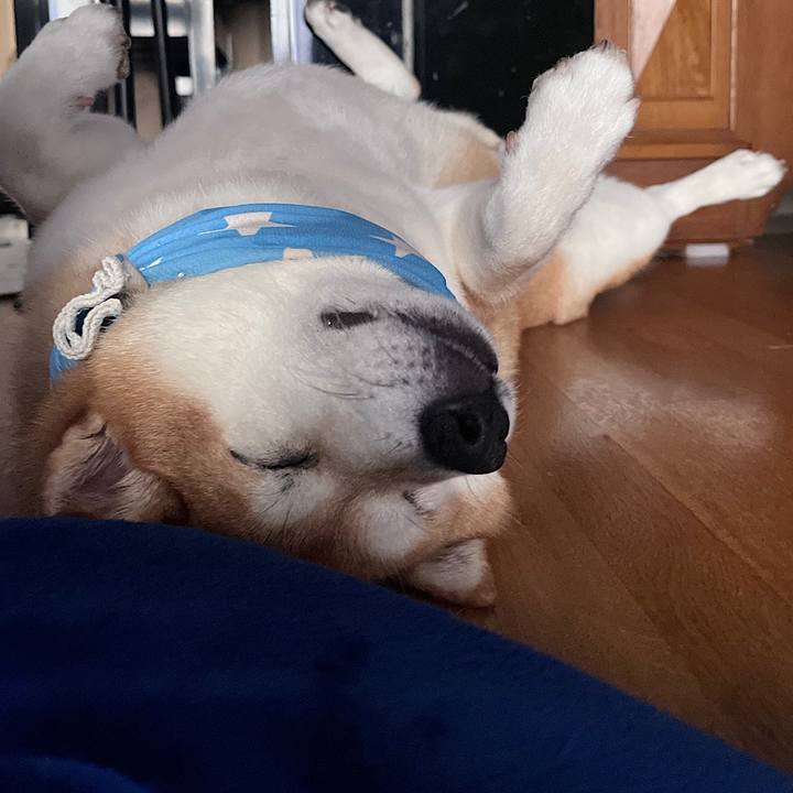 9f325b53 21f5 41fc 9e95 2a9e54ce2727 1691806314914