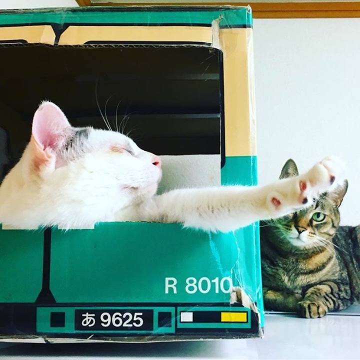 9f32fc7a ffda 46ae 9d1f f5910bd34f57 1526377379803