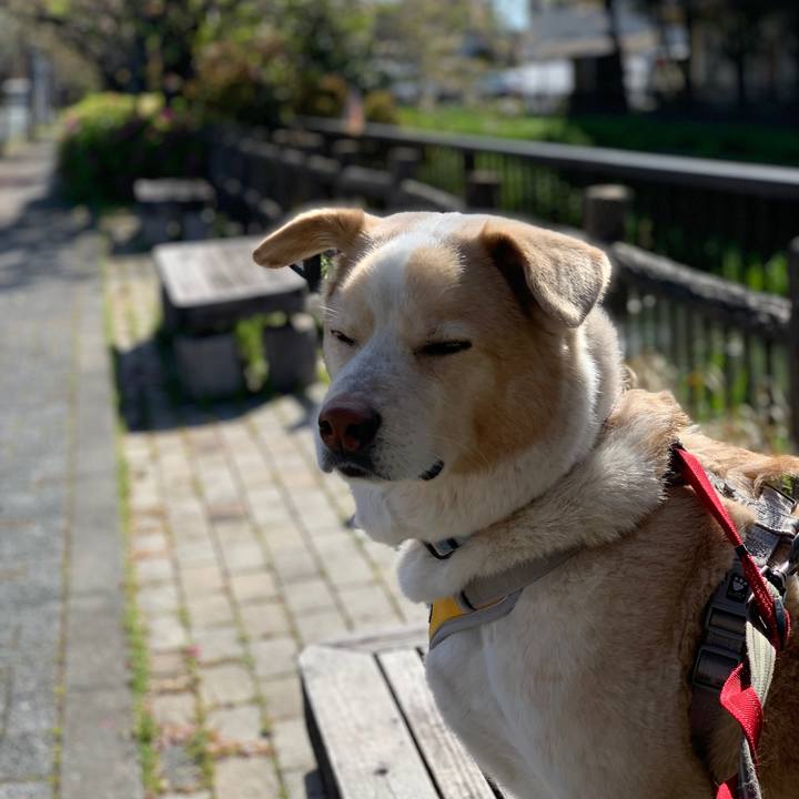 9f330d72 b785 44c9 8d14 0b2c12be8986 1587268114164