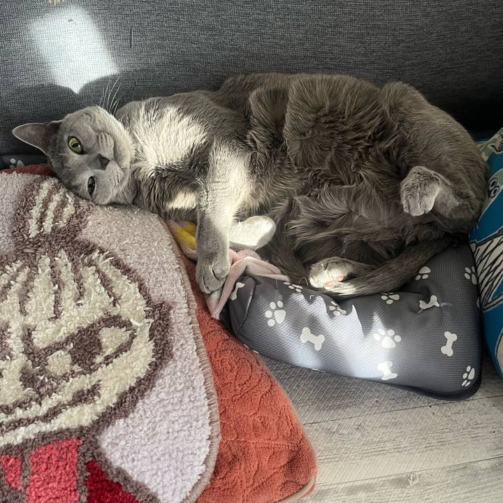 9f331996 4d70 478c 81a5 8119fb62218d 1708935143672