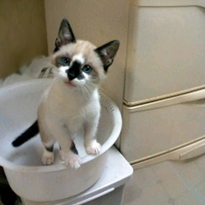 9f33335d 0cee 4944 82e6 95d55518a618 1533860727128