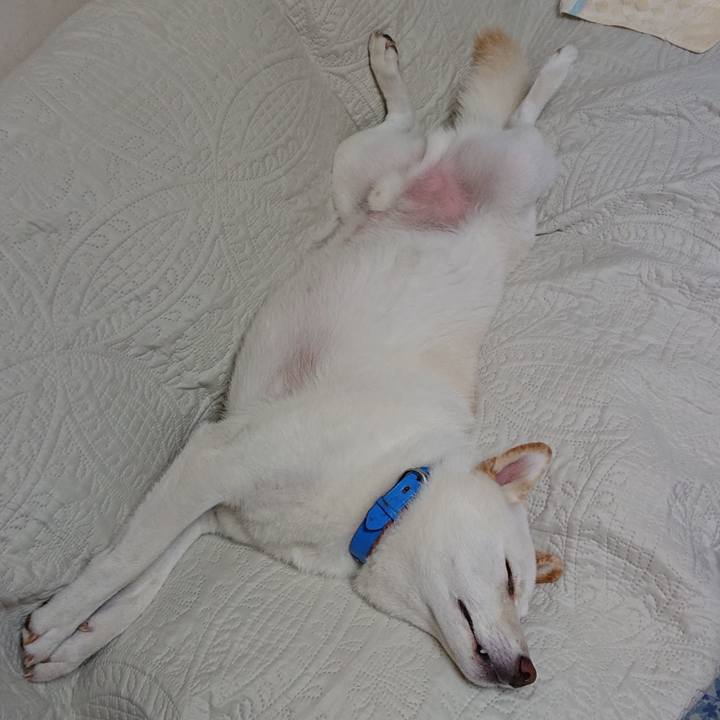 9f33494e 27b1 4756 8f46 5cb77f924c01 1571061073122