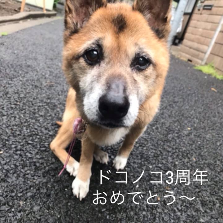 9f335dab 678c 4f4d 92ec 24d31ba633d0 1559770220107