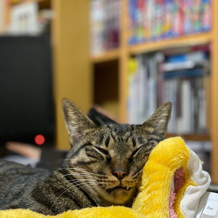 9f34036b e027 4663 97be d5ef6da958fd 1572796648858