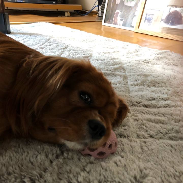 9f340fbd c253 4f50 81a5 d91970e0b620 1571782774070