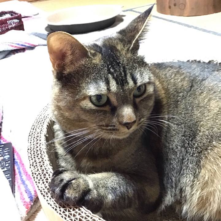 9f343213 f018 4268 ad73 095d69012707 1730970358120