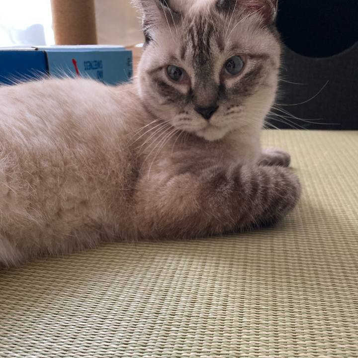 9f34660c fd21 4ec4 8ff3 d938298cf337 1693609247058