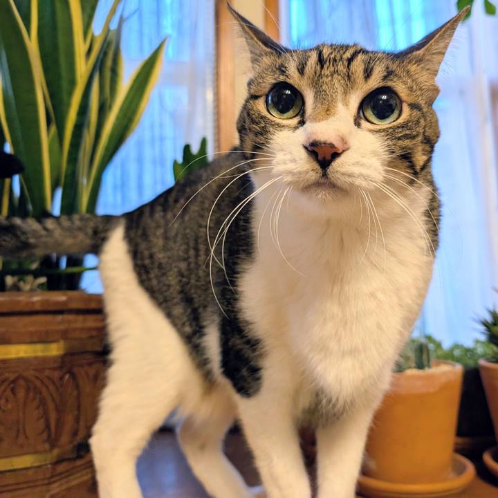 9f3472ef 745f 46bb 96ef 2bde317e9ae0 1767135898951