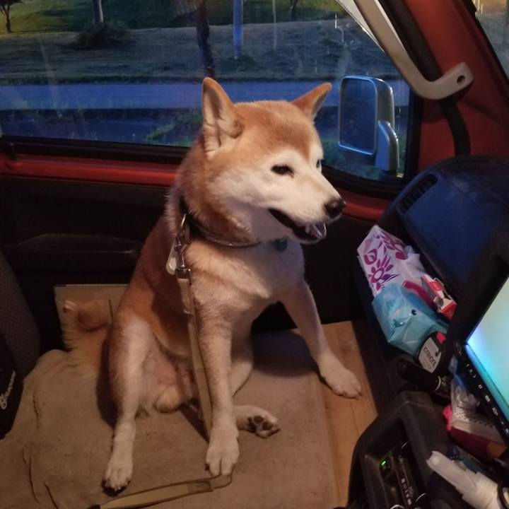 9f34757f 2d8d 4f29 bdc3 3208bd1803b1 1662456478095