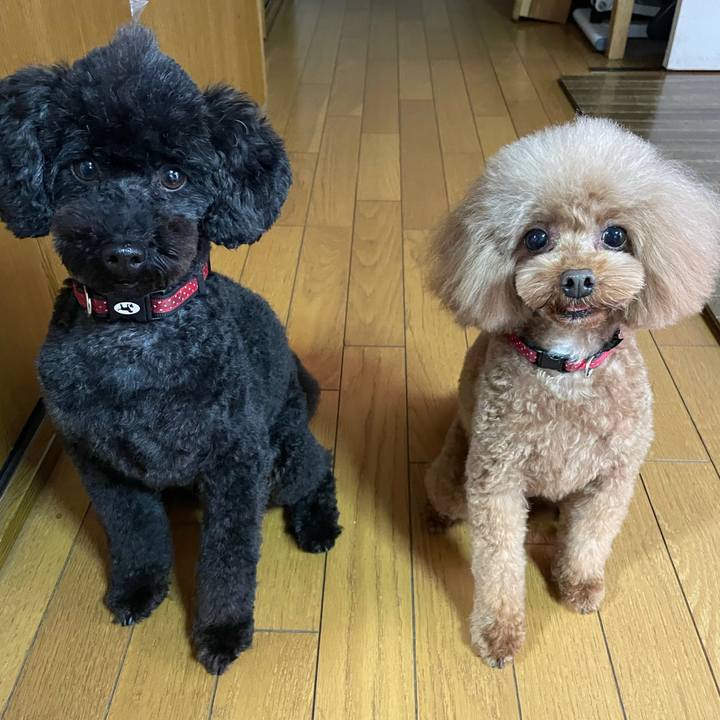 9f34b842 a29a 4f14 a599 708163d48c79 1637382915930