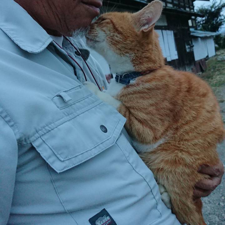 9f3516f4 dfd0 4540 a629 aa7c78e30138 1600937777206