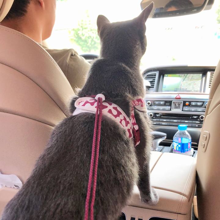 9f3535b4 66b3 4826 9c58 91b8bcee9a9d 1590891198260