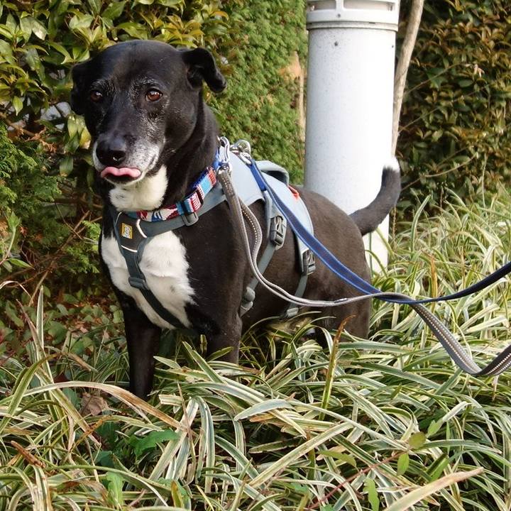 9f3548f8 9eb4 4232 ac2a 1b1e4ac33ae0 1744157848250