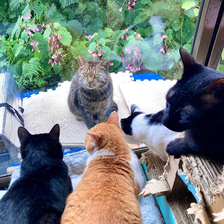 9f3579f8 4944 47ca 94ba 93c44ef89a8c 1662858608557