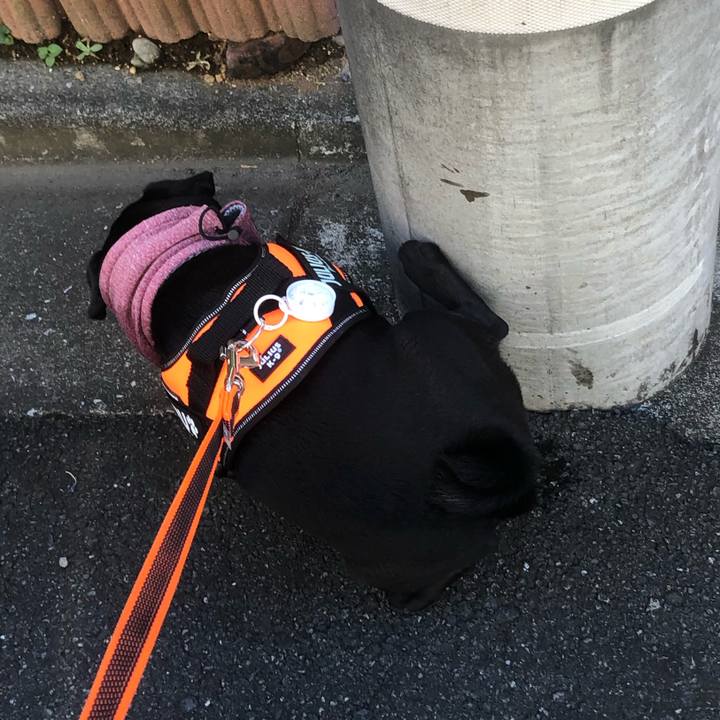 9f358385 7965 498f 8786 74477a6e62e3 1599259674610