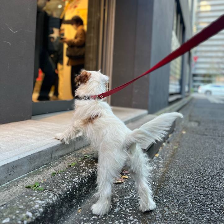 9f358897 d3e3 4dda 9ba2 71c51c0811c0 1704540389531