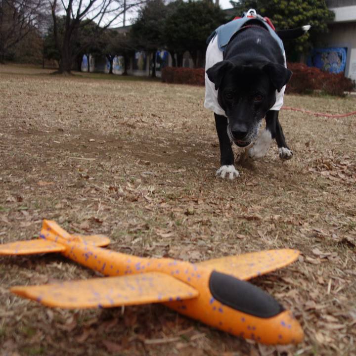 9f358a5e c9d5 4188 8128 b66a4285112d 1704934498464