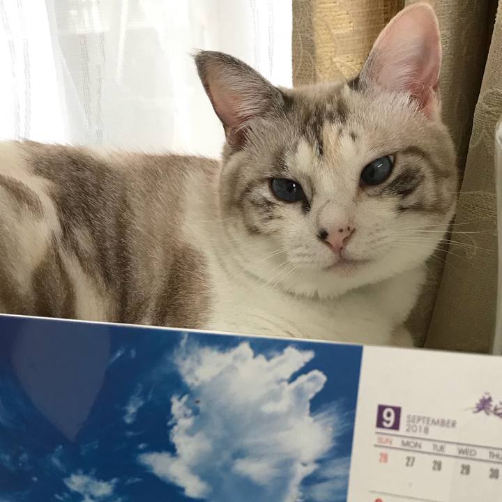 9f35931c d50a 4558 9b71 9b9e18080157 1535885780100