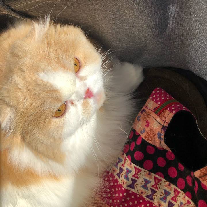 9f35b4da d320 41f1 a04e 9214467f25a3 1605320836295