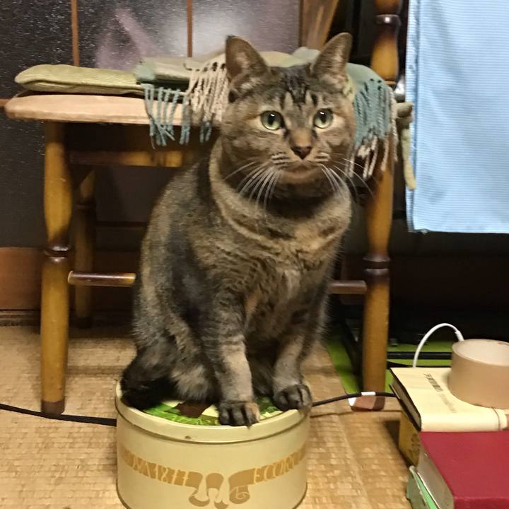 9f35ce17 560e 4013 a6eb 917461523d65 1763019705124