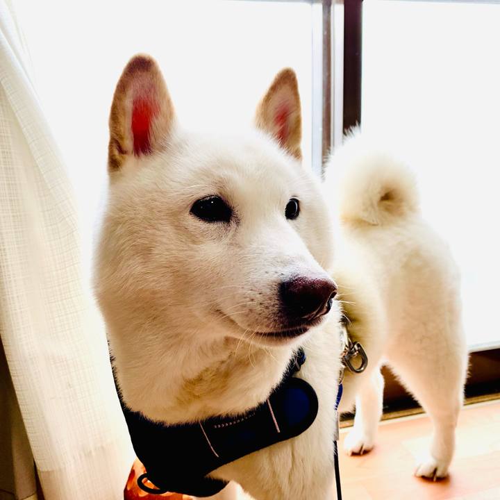 9f35f328 0e7f 4603 aefb b6e1c9e528e1 1647406058242