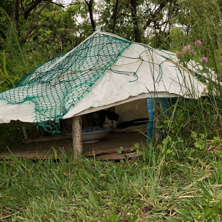 9f35fb63 f2d2 417a a17d d84c46c24b84 1525953336100