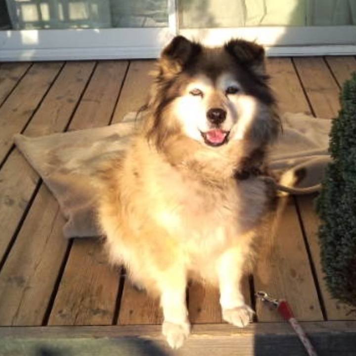 9f3602a7 ce5f 49b3 bd18 7bab367ed4f2 1595884290699