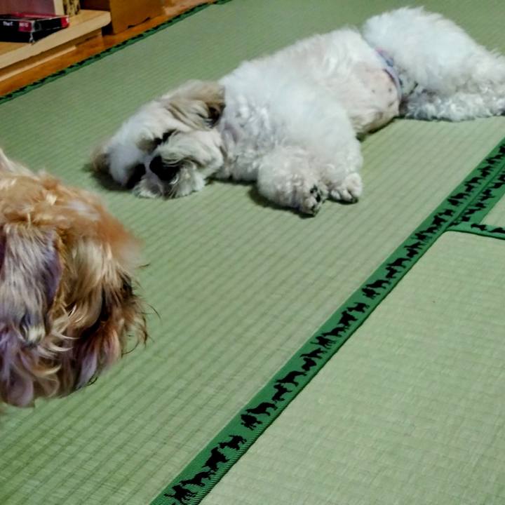 9f361d2d 96af 4430 9738 6bf2d37e1040 1690095748289