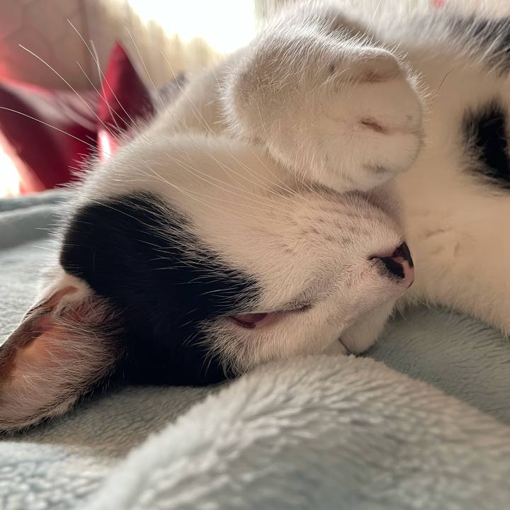 9f366f10 22dd 4297 9f66 ade9fb8c82f9 1631248783758